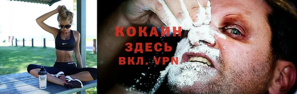 альфа пвп Дмитровск