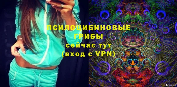 альфа пвп Дмитровск